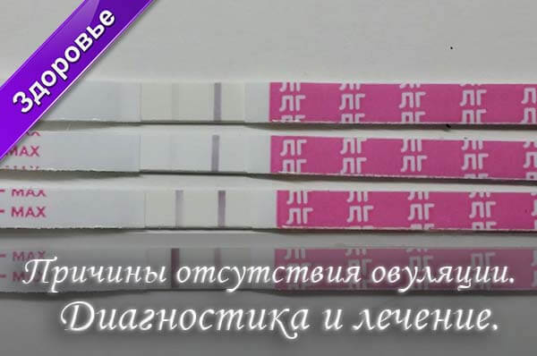 Отсутствие овуляции и беременность
