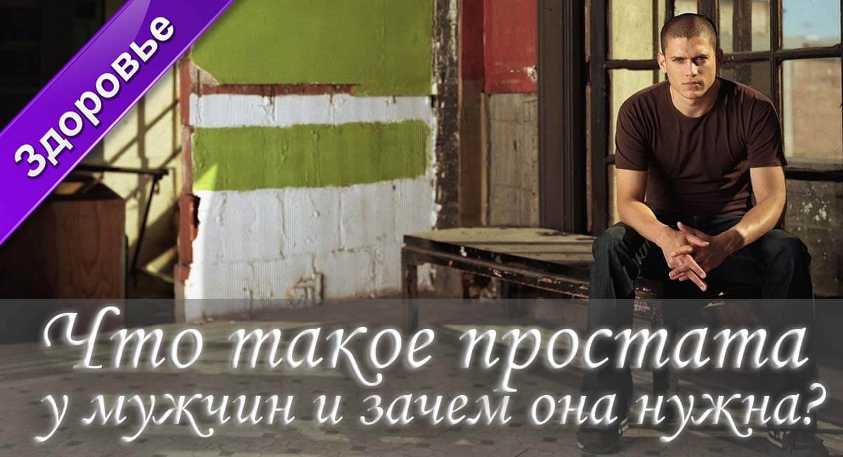 зачем простата, простата у мужчин