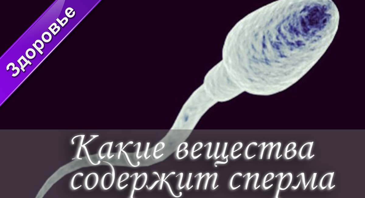 из чего состоит сперма, элементы спермы