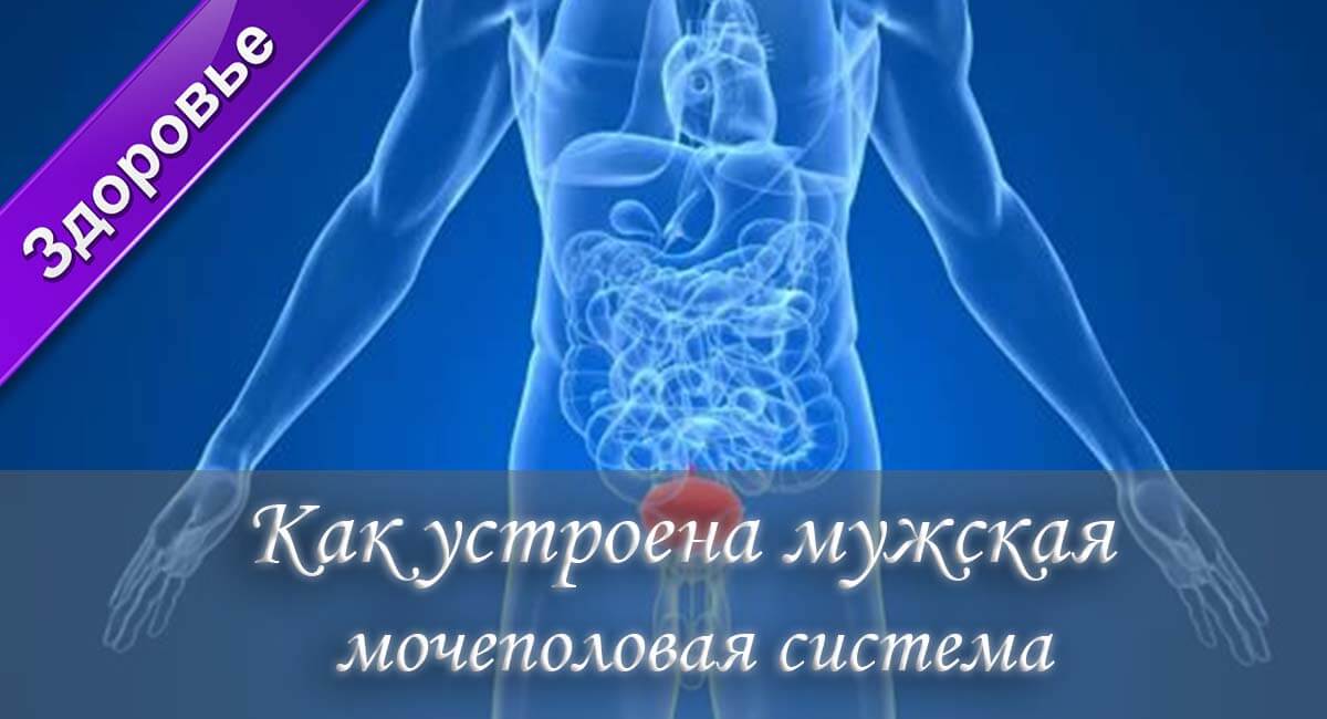 уретрит, болезни мужчин