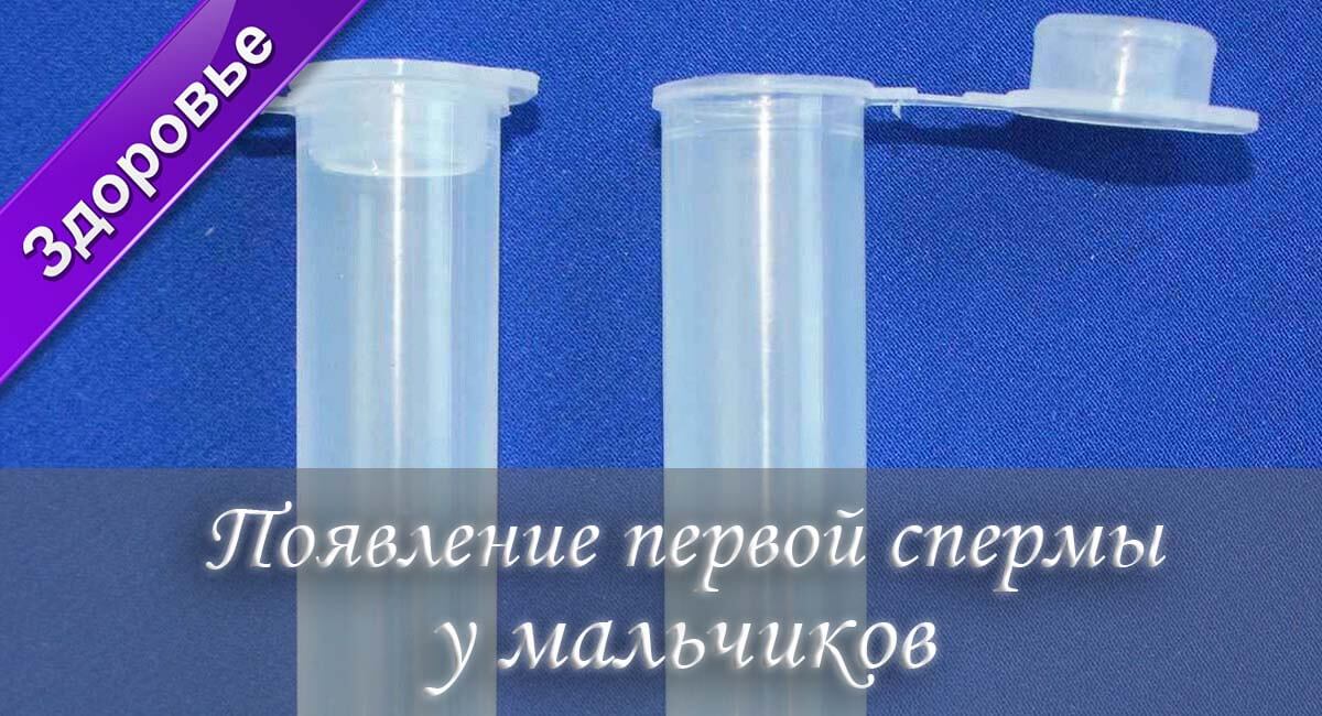 когда появляется сперма, во сколько лет образуется сперма