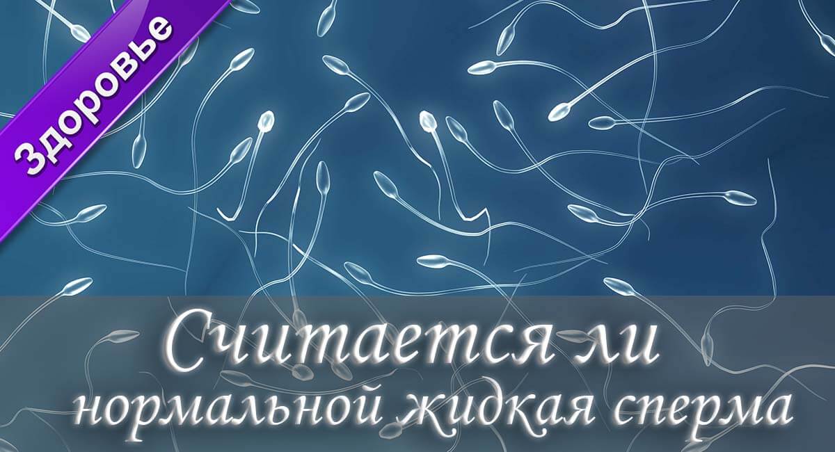 из чего состоит сперма, элементы спермы