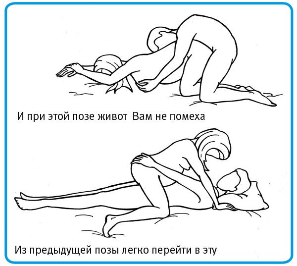 Болезни флоксов с фото и лечение